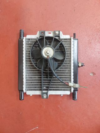 Radiador Peugeot Satelis 125 (2007)
