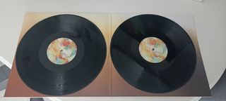 Vinilo Tesseract - Polaris