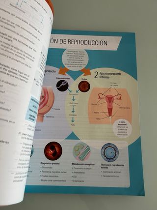 BIOLOGIA Y GEOLOGIA II