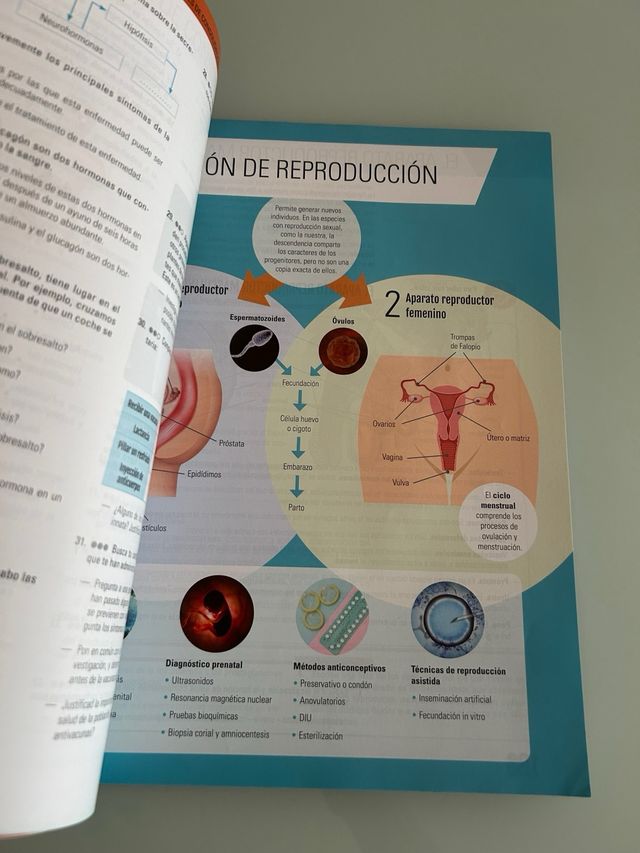 BIOLOGIA Y GEOLOGIA II
