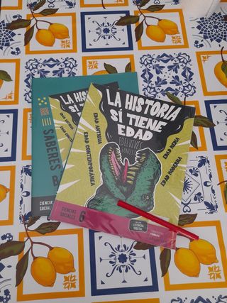 libros Ciencias Sociales. 6° Primaria. EDELVIVES