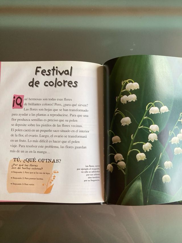 Libros lectura infantiles.  El fruto ¿Quién eres?