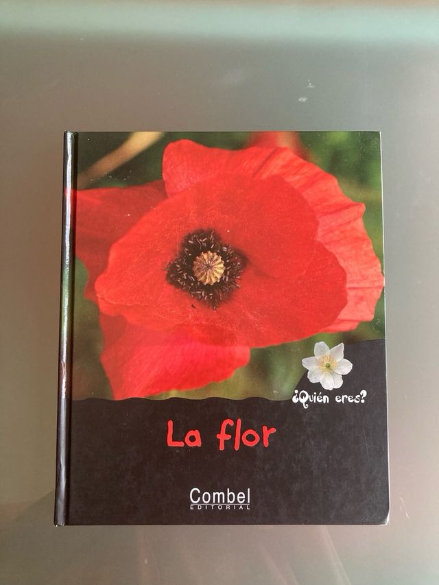 Libros lectura infantiles.  El fruto ¿Quién eres?