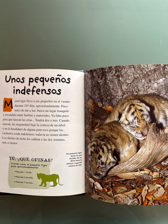 Libros lectura infantiles.  El fruto ¿Quién eres?