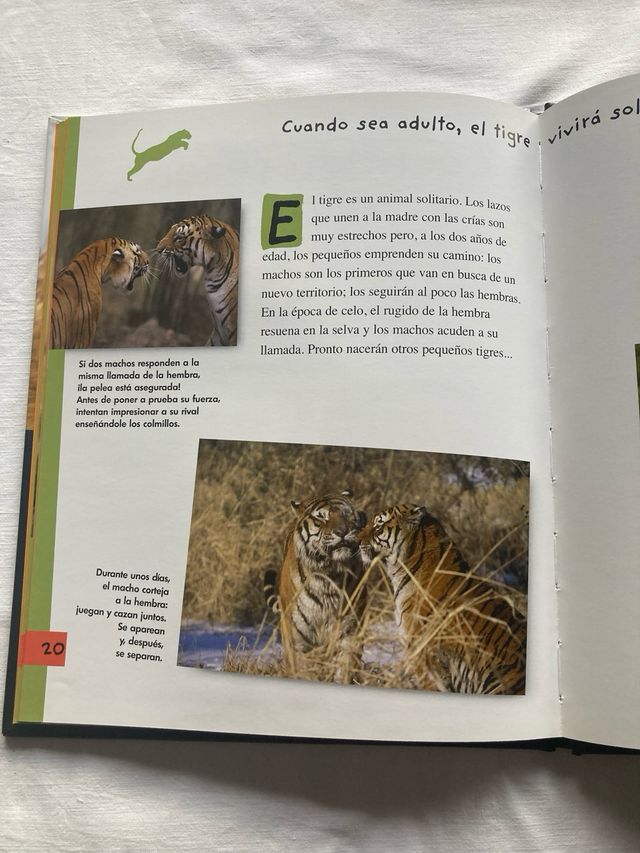 Libros lectura infantiles.  El fruto ¿Quién eres?