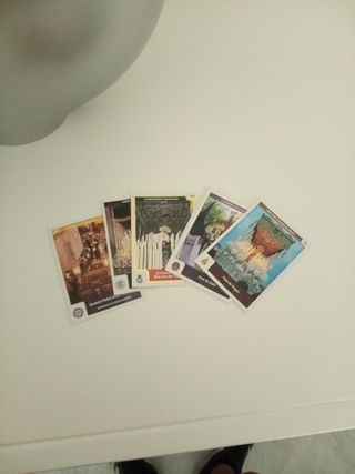 Holy cards Cartas Santa Córdoba 2025