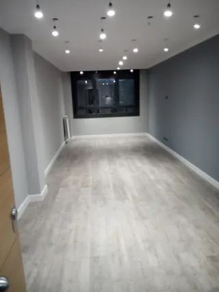 Pintor económico 100€ salon