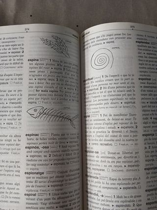 Diccionari didàctic elemental