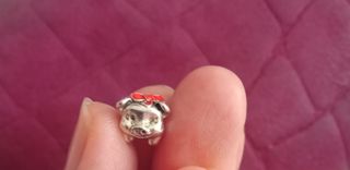 Charms Pandora plata oportunidad 