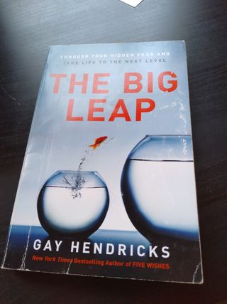 The Big Leap: Conquer Your Hidden Fear and Take...