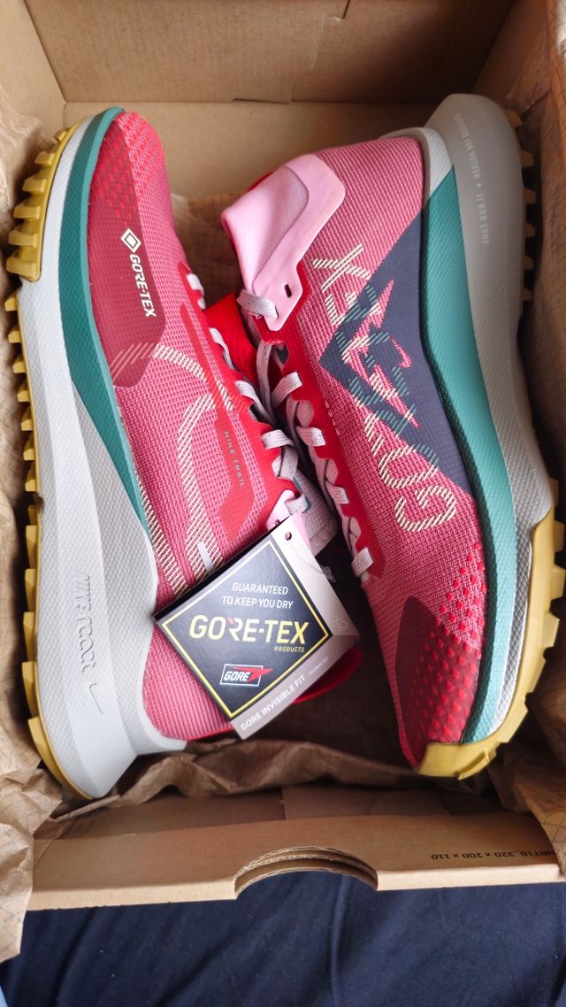 Zapatillas Running Nike Gore-Tex mujer - T38