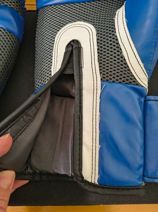 Guantes Everlast 10 oz