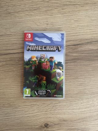 Minecraft Nintendo Switch