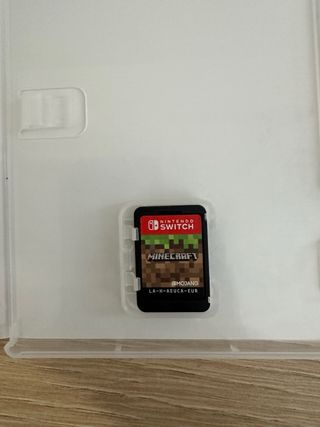 Minecraft Nintendo Switch