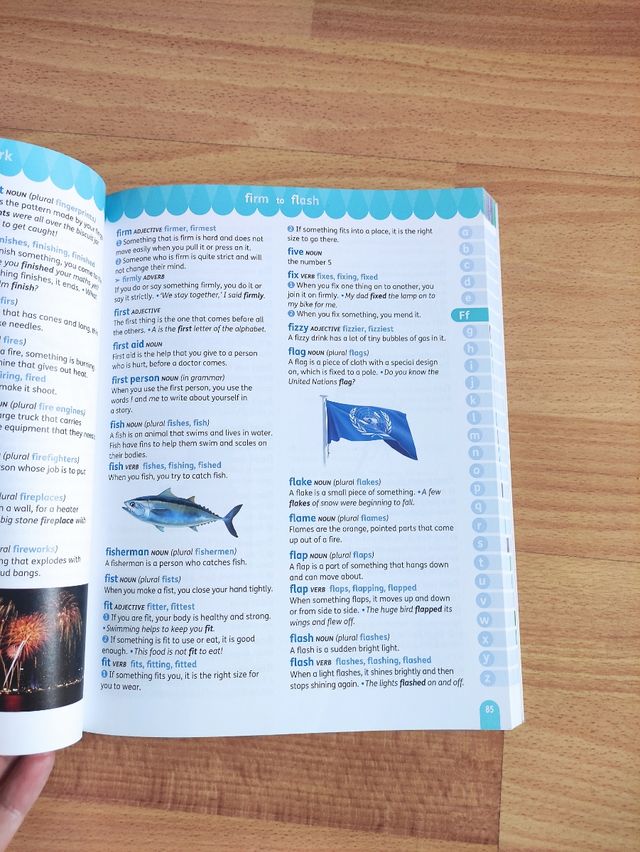 Oxford Junior Illustrated Dictionary