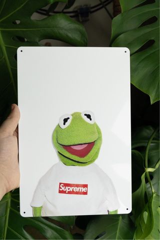Targa Supreme Kermit | Vintage