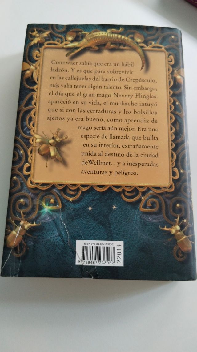 Libro El ladrón mago