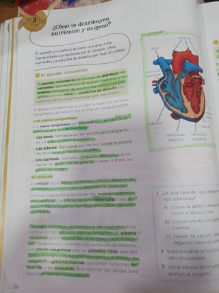 Ciencias de la Naturaleza 5.