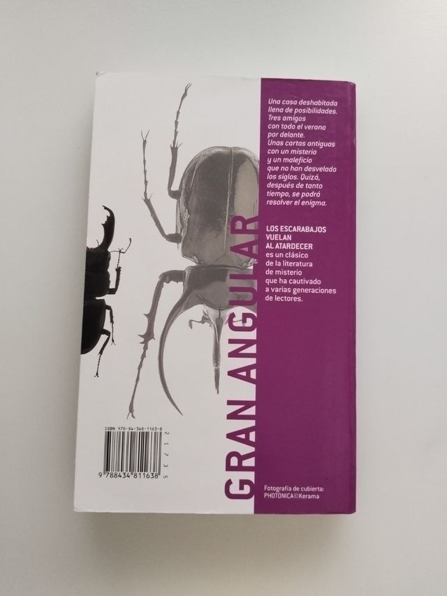 Los escarabajos vuelan al atardecer (Gran Angul...