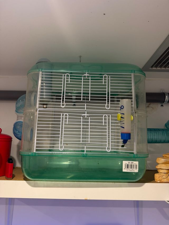 Jaula hamster verde transparente