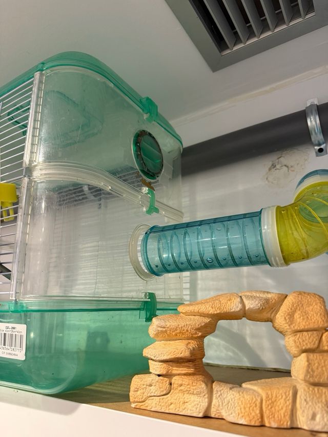 Jaula hamster verde transparente