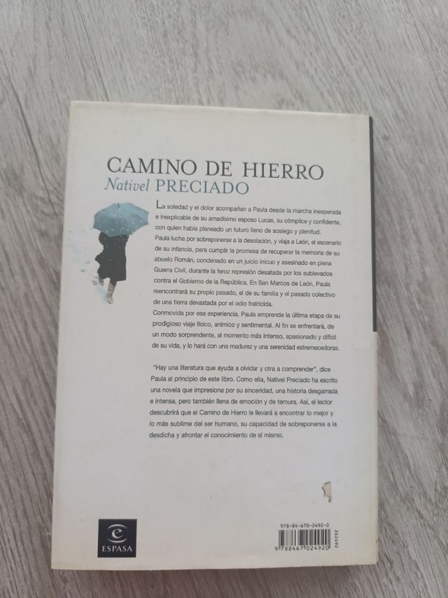 Camino de hierro