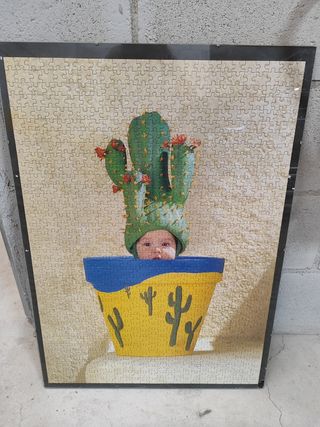 Puzzle bebé cactus: cuadro