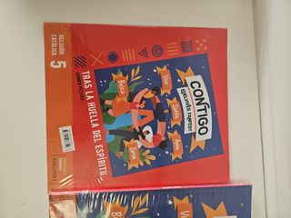 Proyecto: FanFest. Religión católica 5