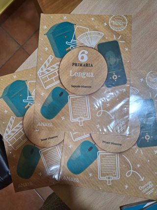 Libros de sexto de primaria