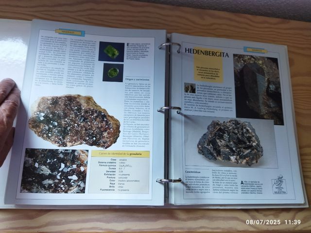 Minerales y Piedras preciosas: colección completa