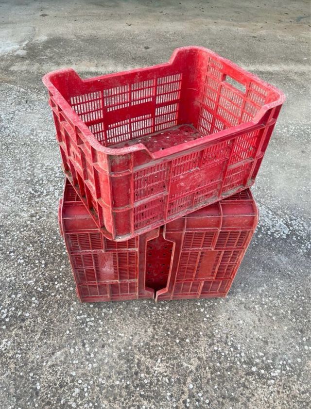 Cajas Plástico Reforzadas