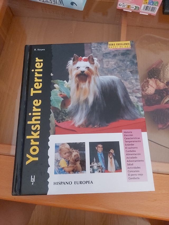 Yorkshire Terrier (Excellence) (Spanish Edition)