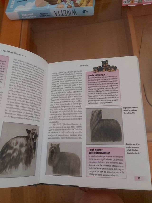 Yorkshire Terrier (Excellence) (Spanish Edition)