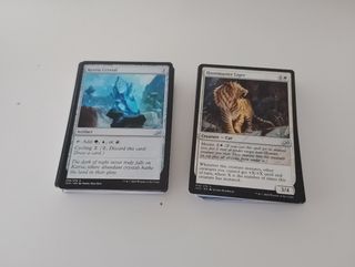 Lote de cartas Magic