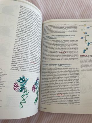 Libro Biologia molecolare del gene
