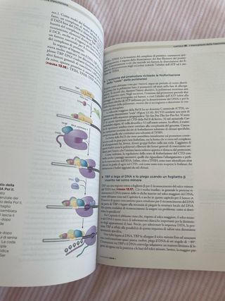 Libro Biologia molecolare del gene