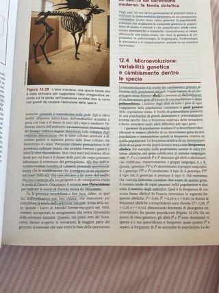 Libro Diversità Animale