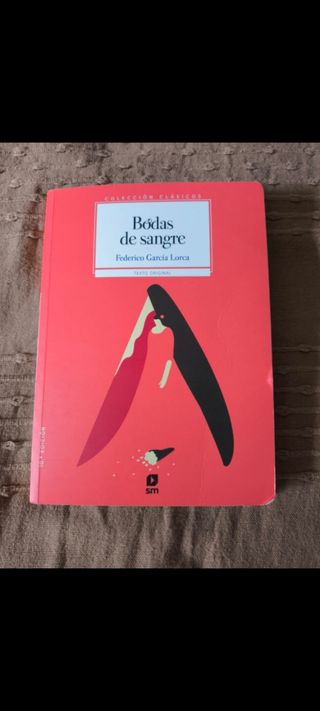 Libros de lectura clásica para el colegio.