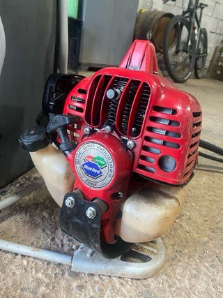 Vareador aceitunas Blue Bird