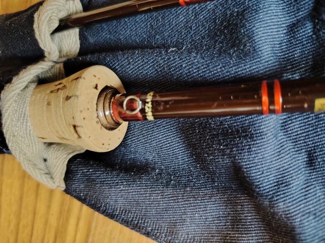 Canna Hardy de Lux da mosca