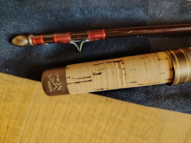 Canna Hardy de Lux da mosca