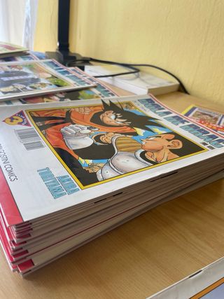 Bola de Drac serie blanca