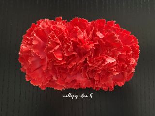 Aros de petalos y tiara roja pequeña flamenca