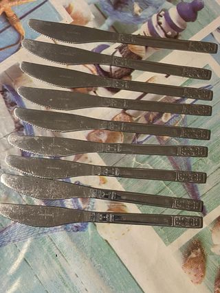 9 Coltelli Acciaio Inox