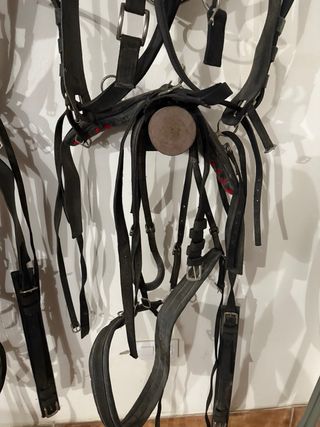 Guarnicion Inglesa tronco para Caballo