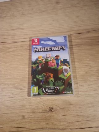 Minecraft Nintendo Switch