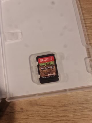 Minecraft Nintendo Switch
