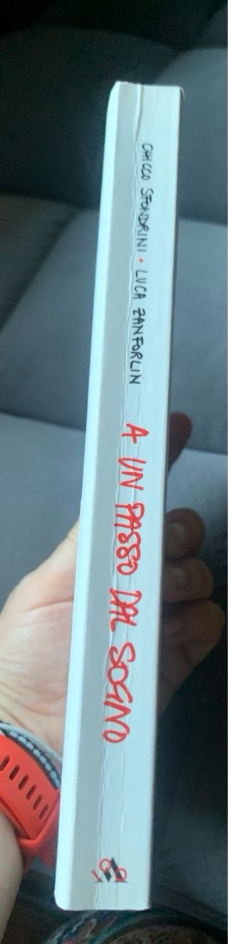 A Un Passo Dal Sogno: Il Romanzo Di Amici' (Arc...