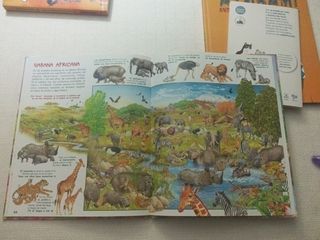 Busca los animales y sus crías