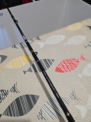 CAÑA OKUMA SOLTERRA BOAT 30-50LBS